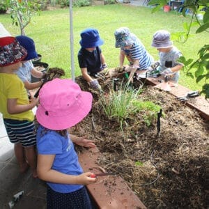 Gardening